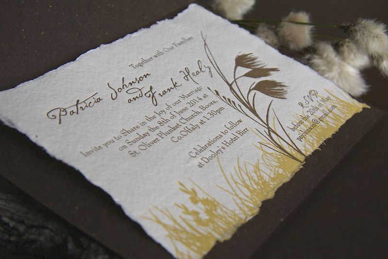 Inspired by Boora Cotton Grass
