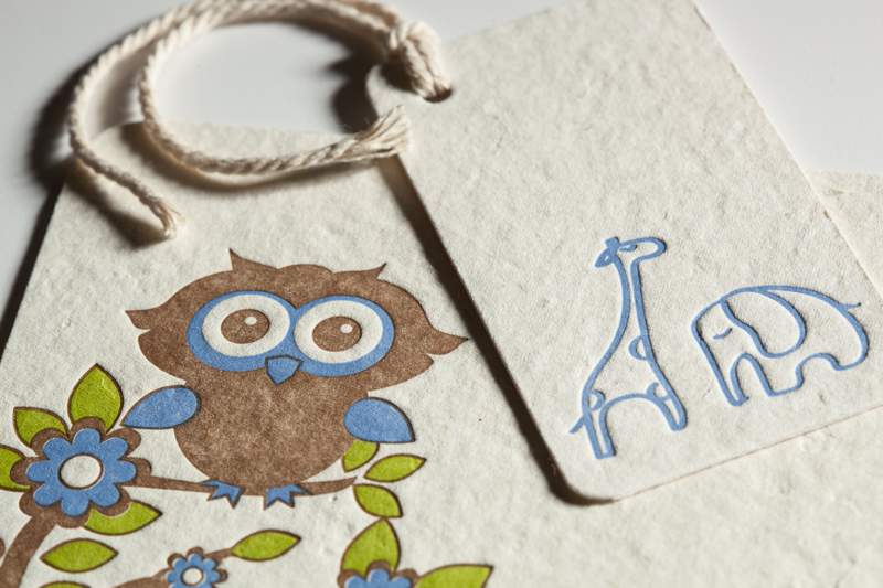 Baby owl and gift tag